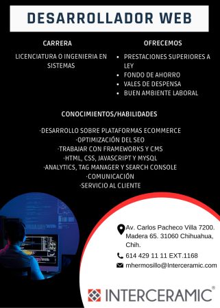 VACANTE CHIHUAHUA - DESARROLLADOR WEB